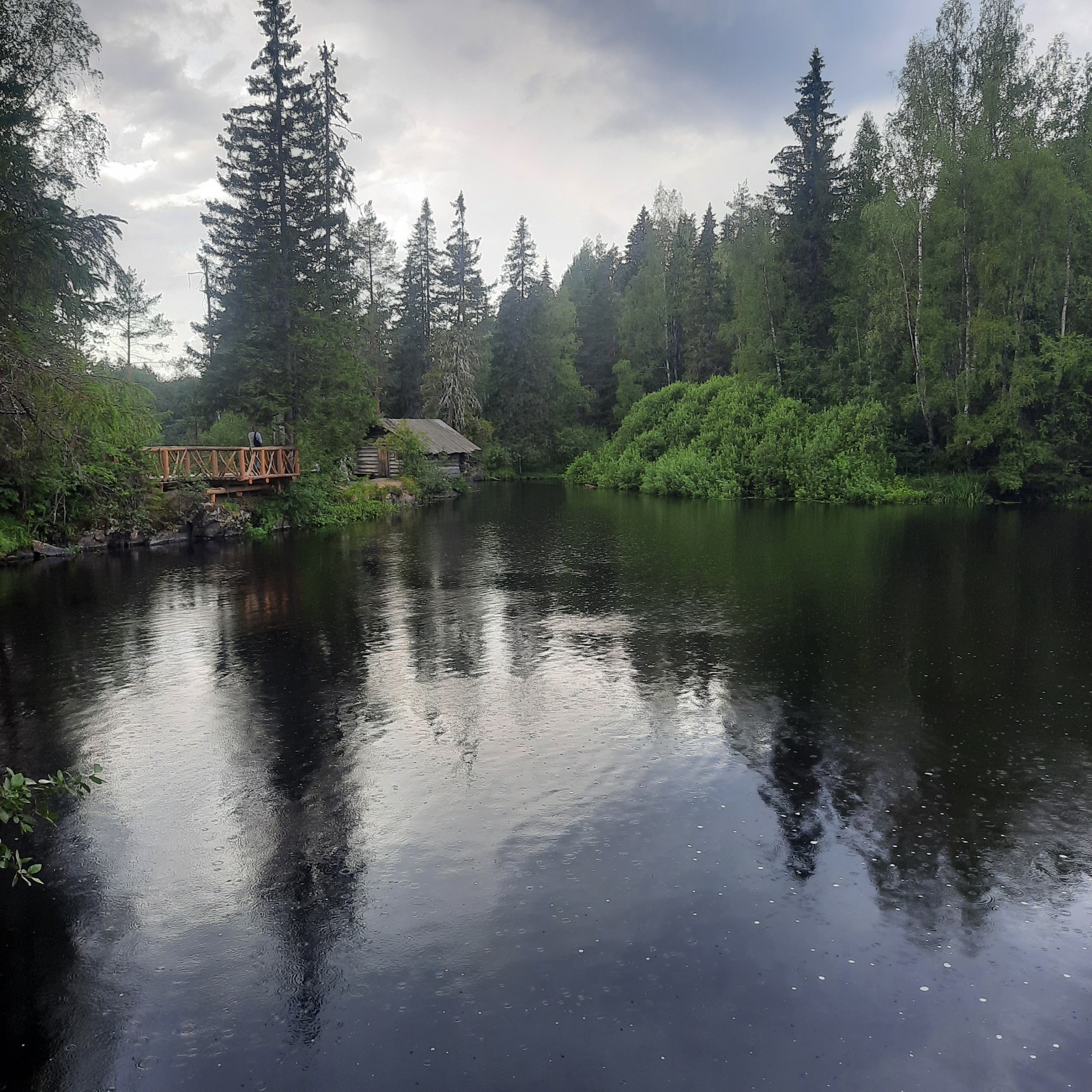 СберСпасибо разочаровывает. Как я попрощалась со Сбербанком