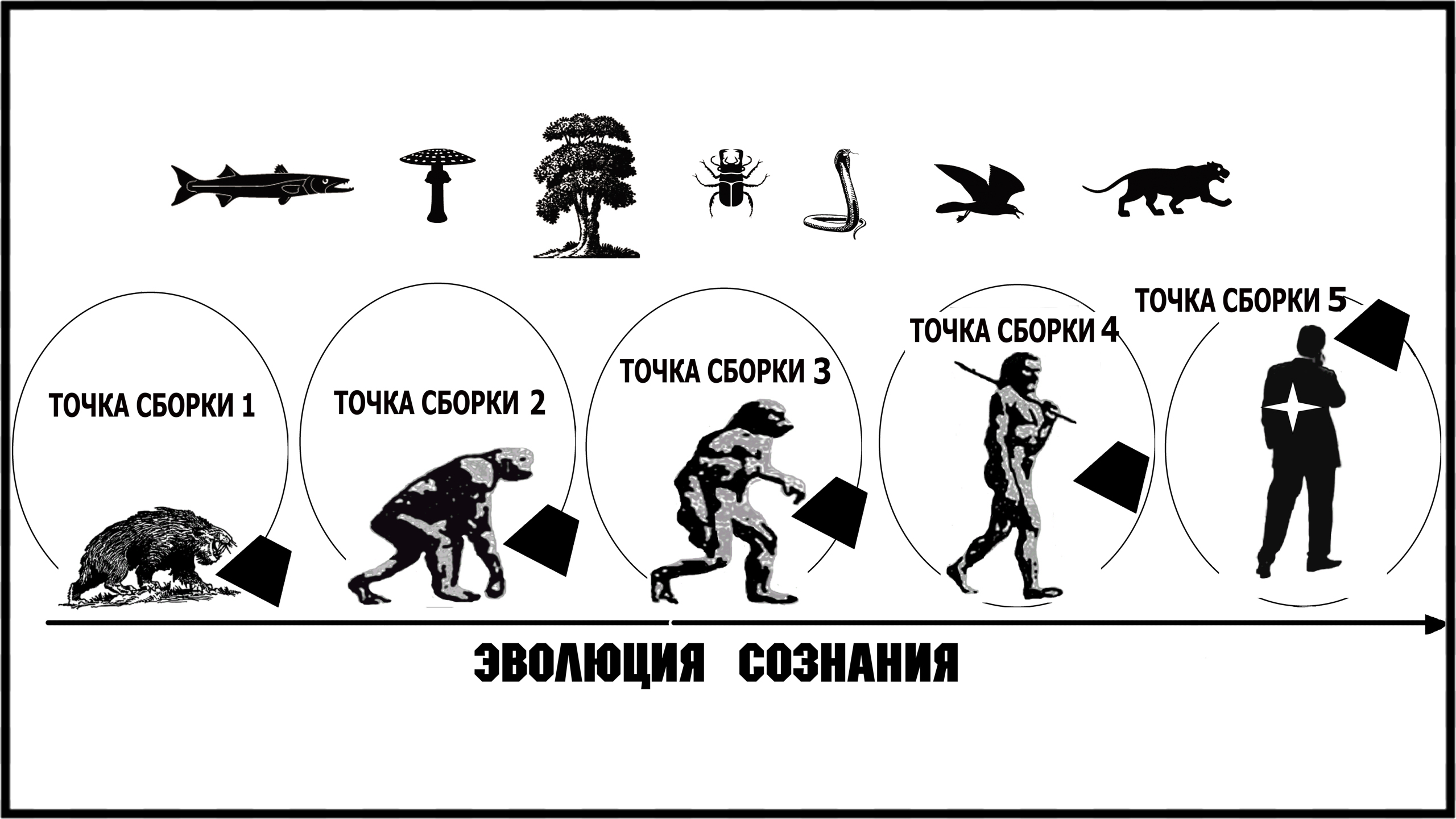 О сознании животных и растений. Новое открытие в учении дона Хуана / Карлоса Кастанеды!
