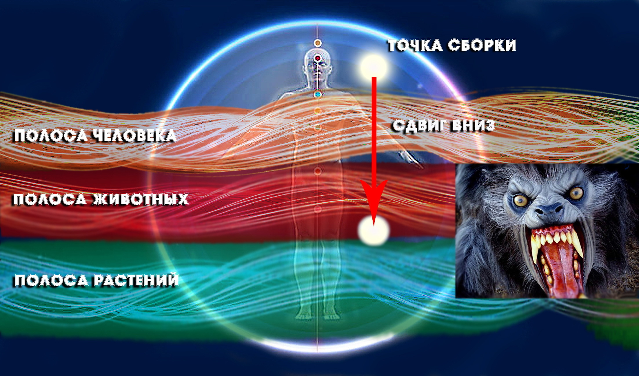 О сознании животных и растений. Новое открытие в учении дона Хуана / Карлоса Кастанеды!