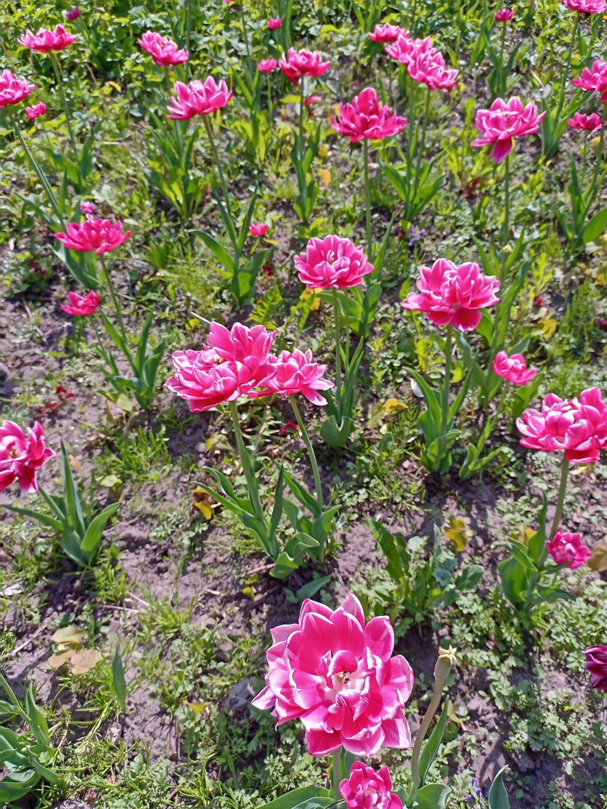 Почему говорить о боли не слабость?