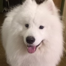 Ольга, г. Качканар