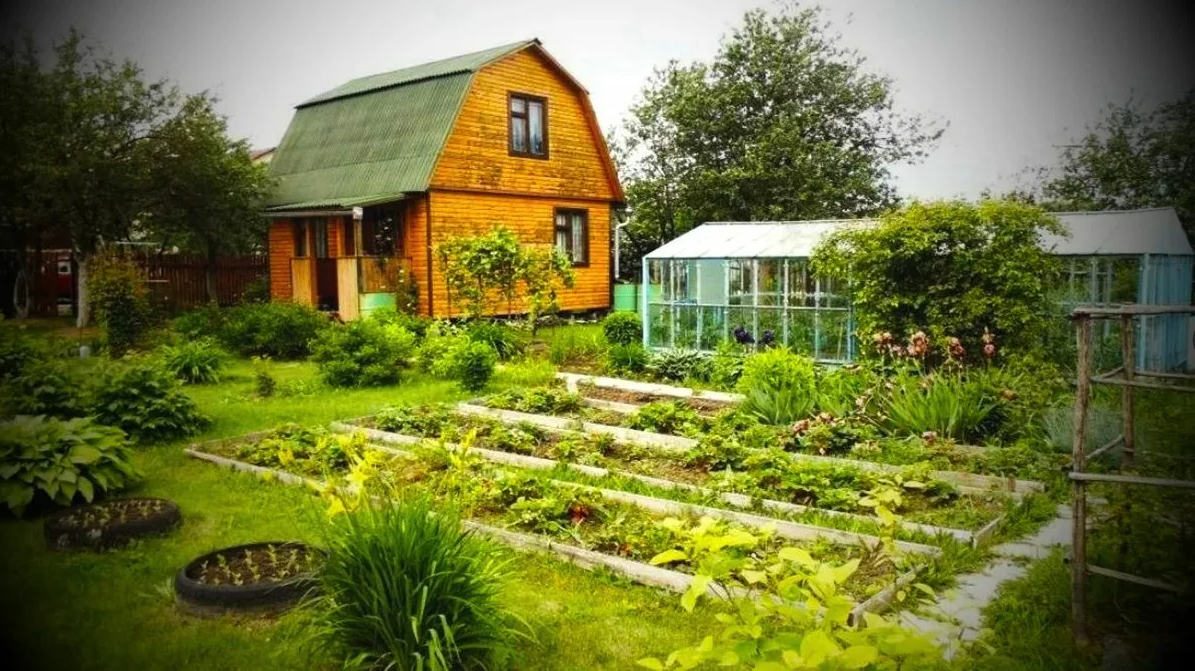 Дачный оазис: секреты уюта