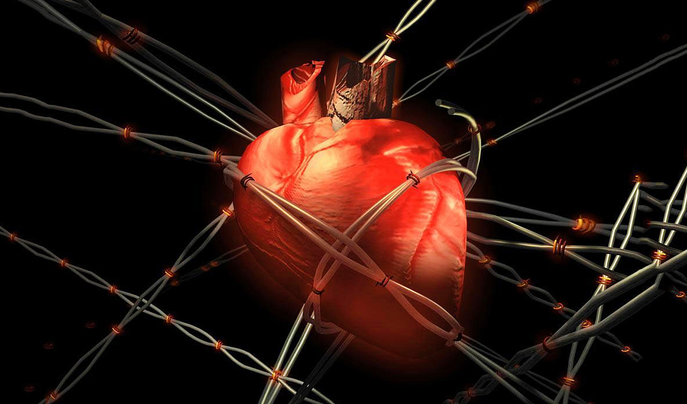 О тайне нашего сердца; - у каждого человека на самом деле есть целых три формы сердца!