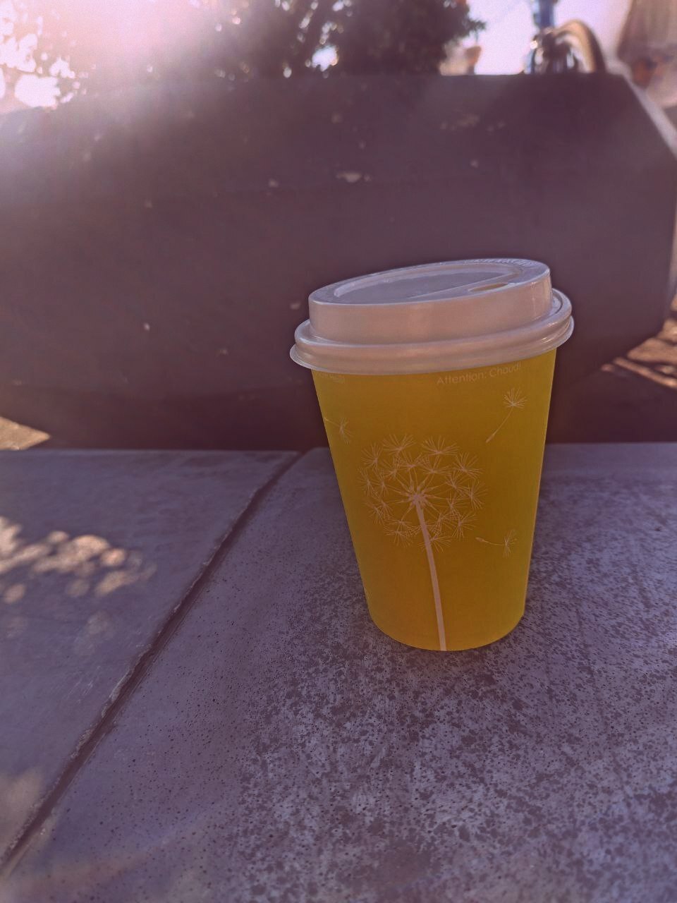 Семейные перемены и мой новый шаг