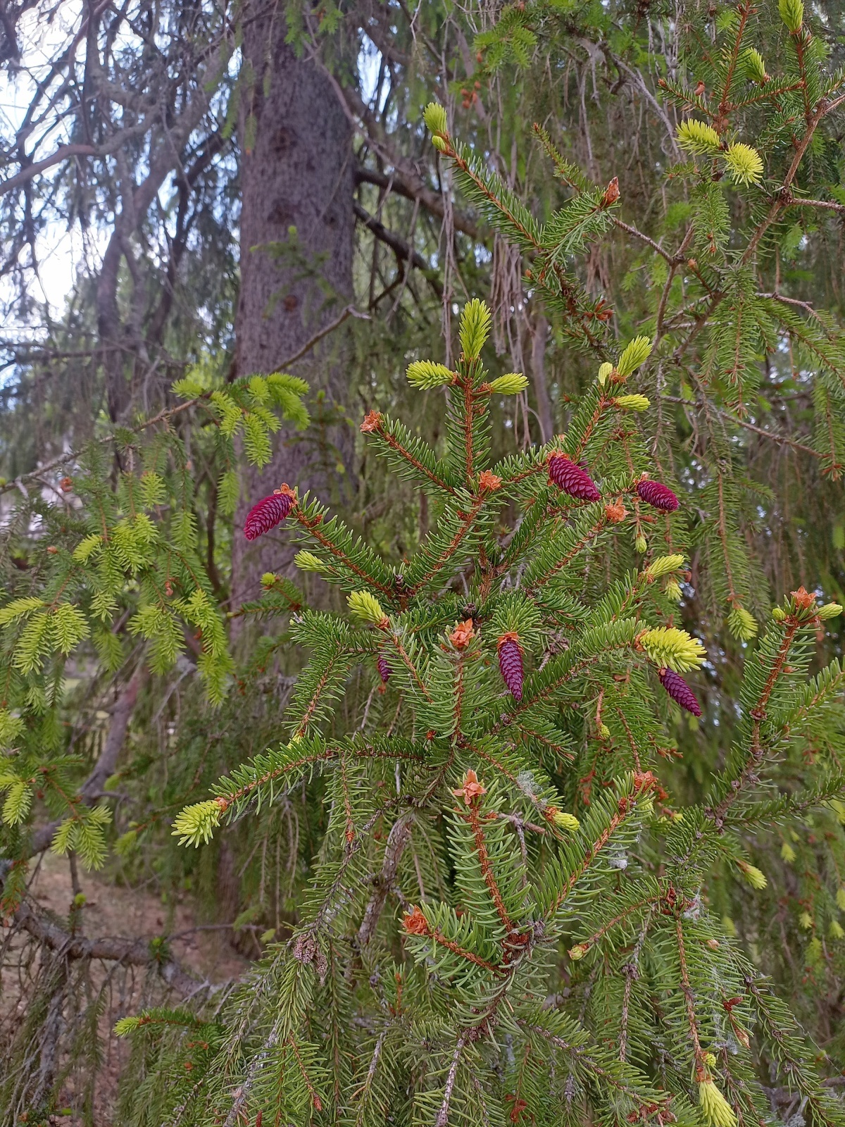 Когда увольняться, а когда нужно просто отдохнуть?