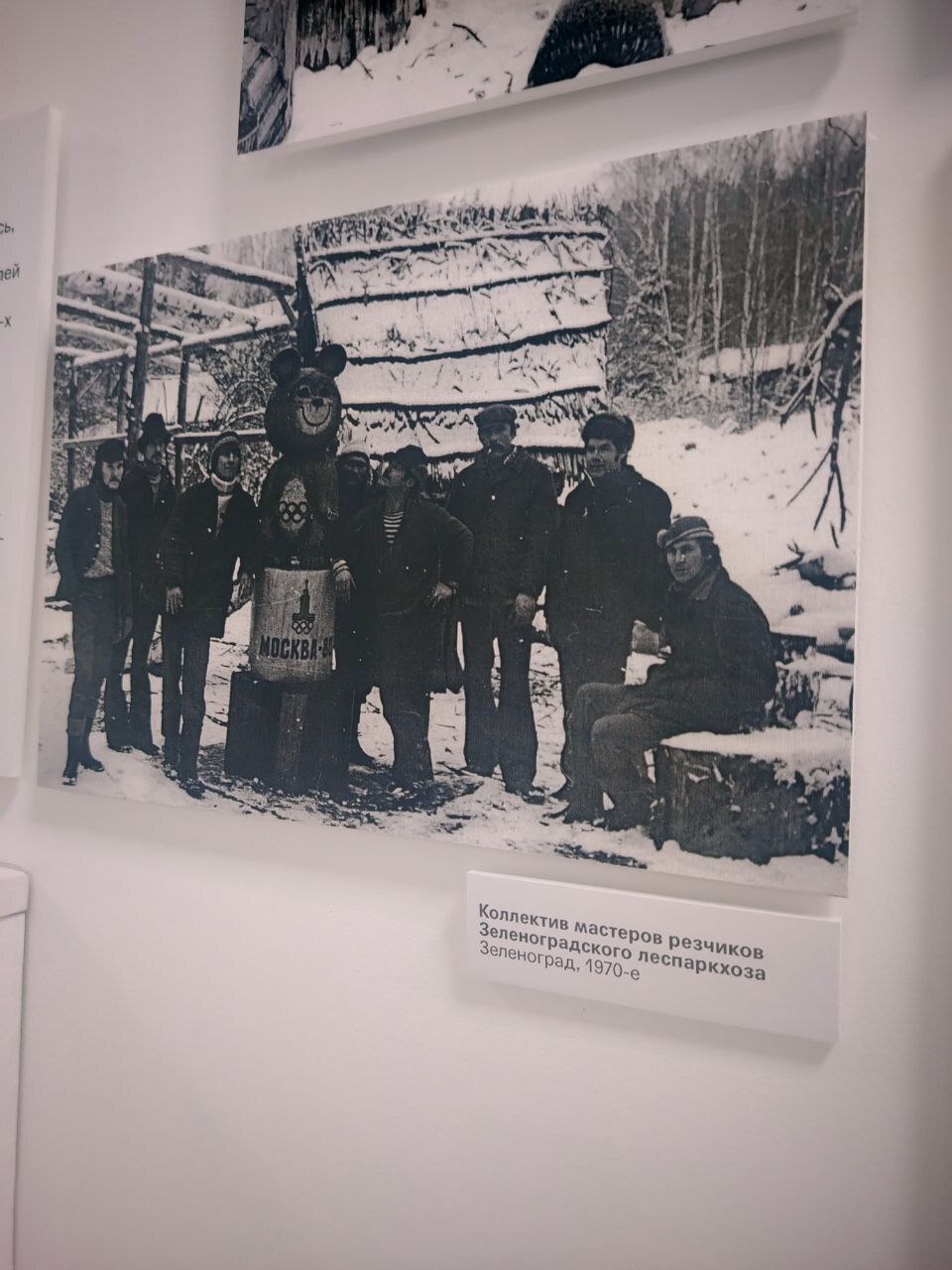 🧸 Где живёт детство: выставка «Детский мир» в Зеленограде