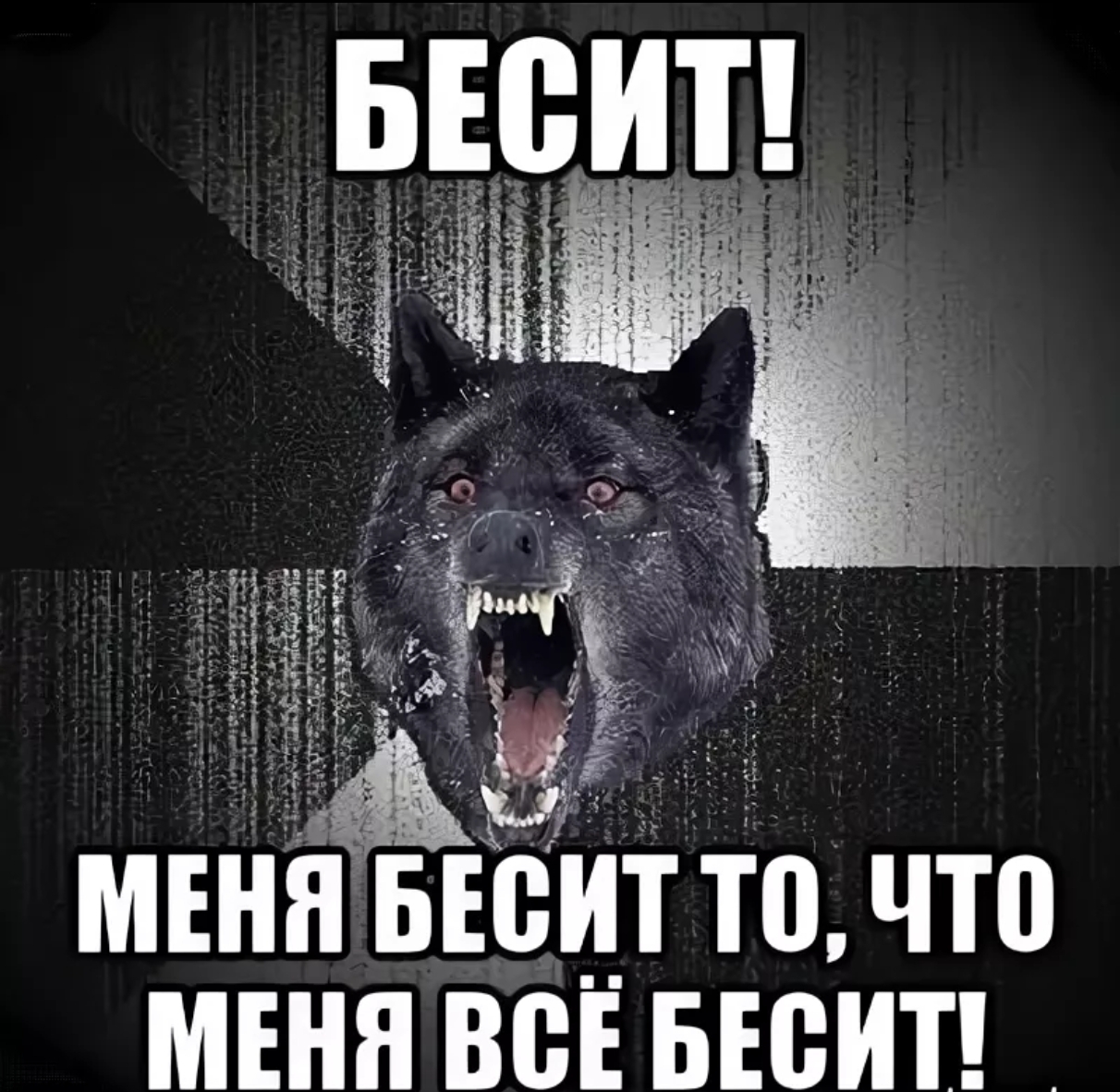 Меня бесит: культ «опыта» и люди, которые делают простые вещи невыносимыми