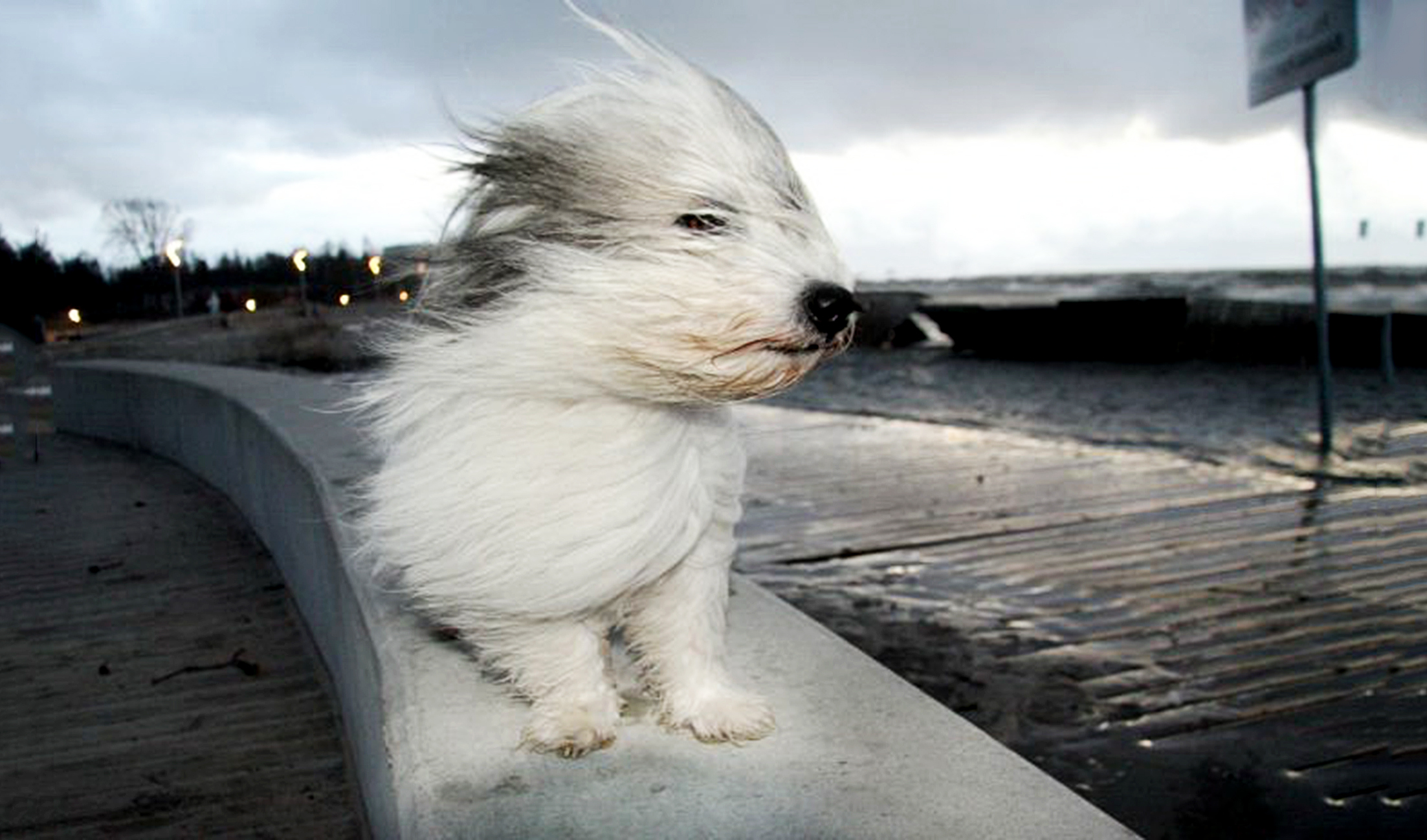О тайных знаках нашей жизни и нашей судьбы! Третья часть...