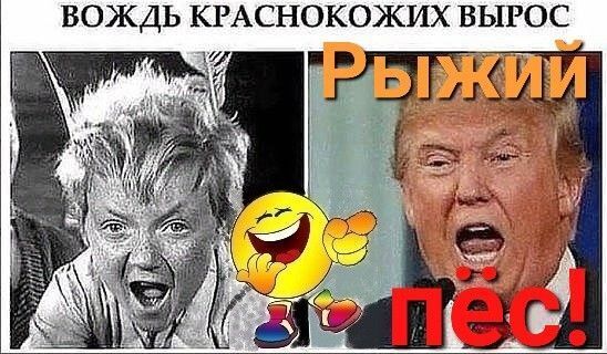 Весёлые картинки про Трампа и Украину