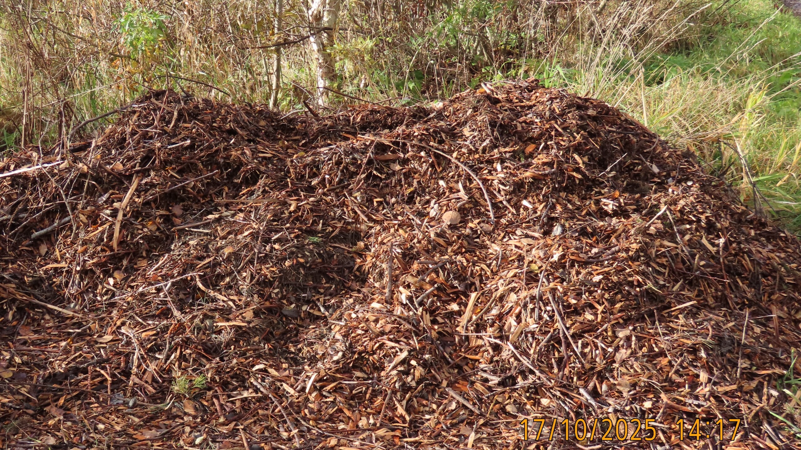 Праведный садовод из Вологды. Сказка.