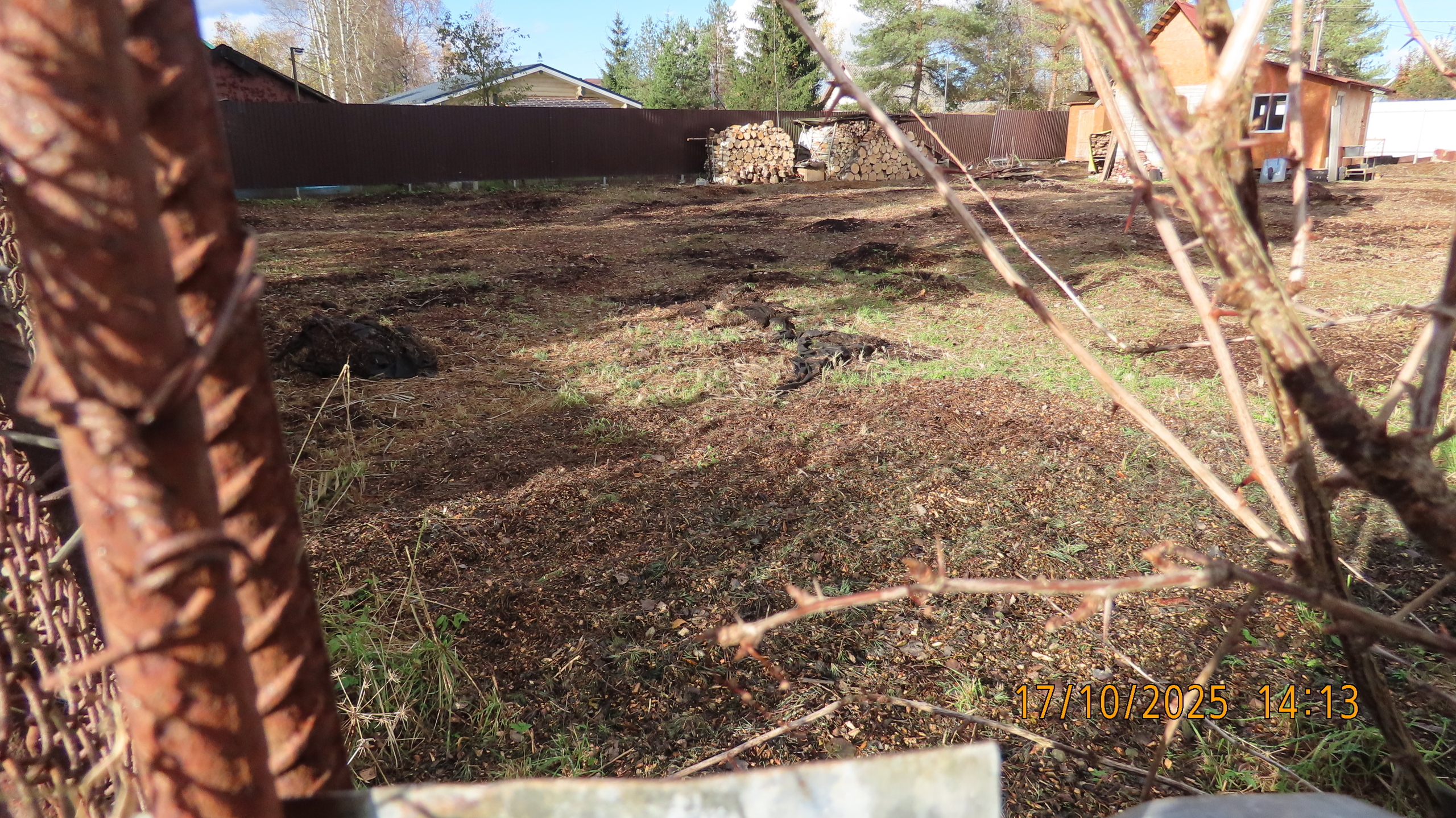 Праведный садовод из Вологды. Сказка.