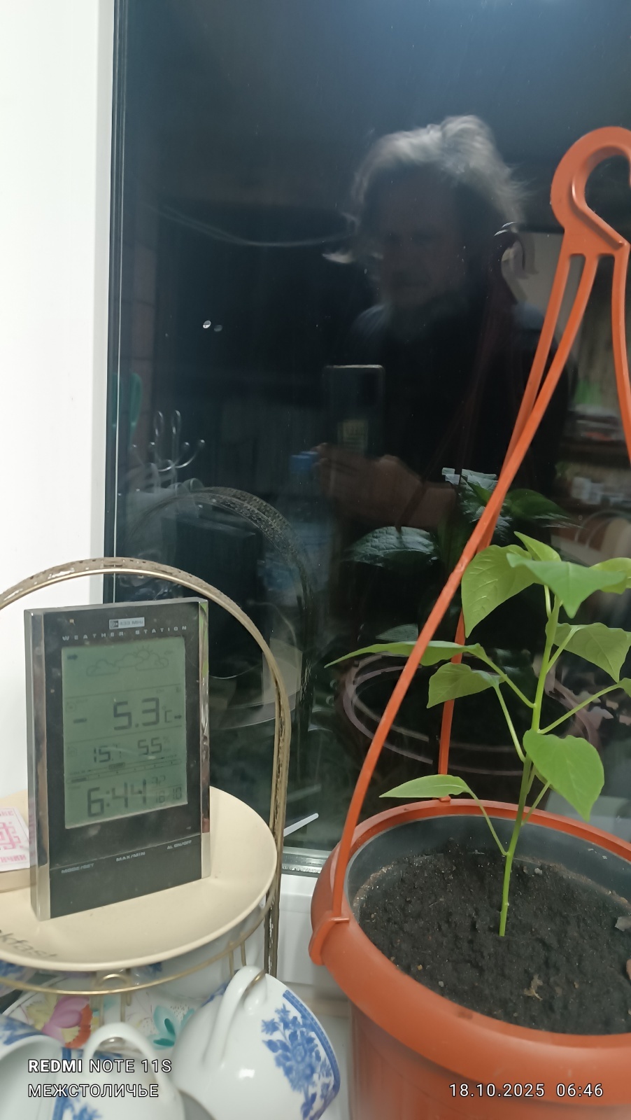 Праведный садовод из Вологды. Сказка.