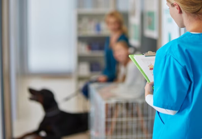 Когда документы говорят громче эмоций: как мы защитили ветклинику от многотысячного иска