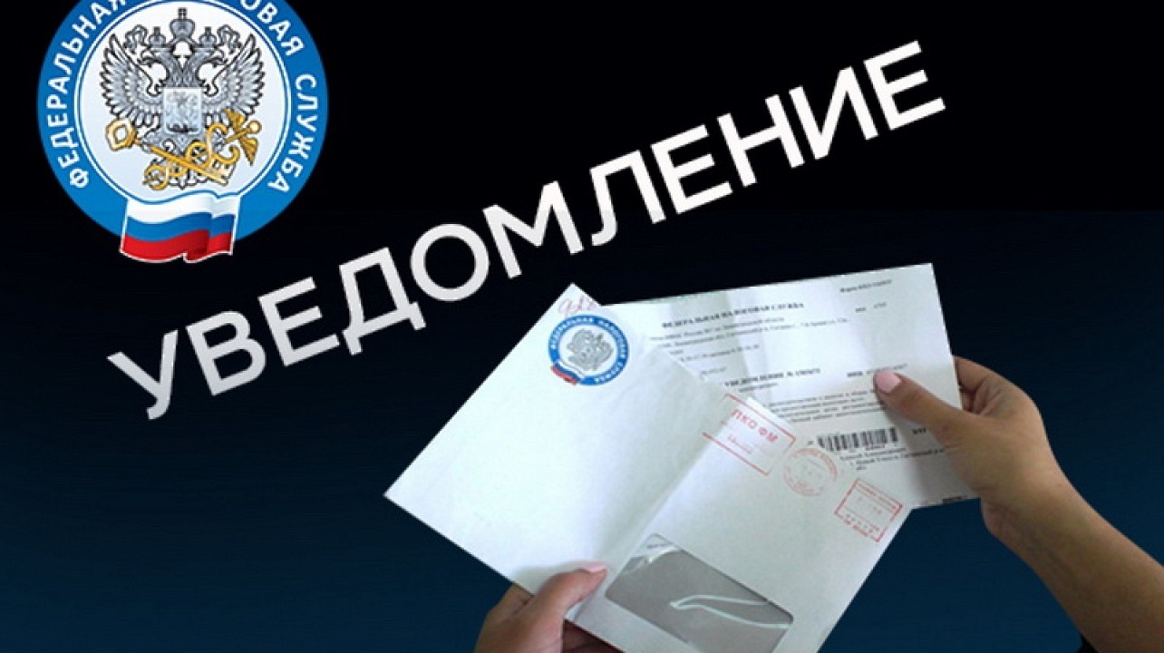 Не пришло налоговое уведомление: что делать? 🔔