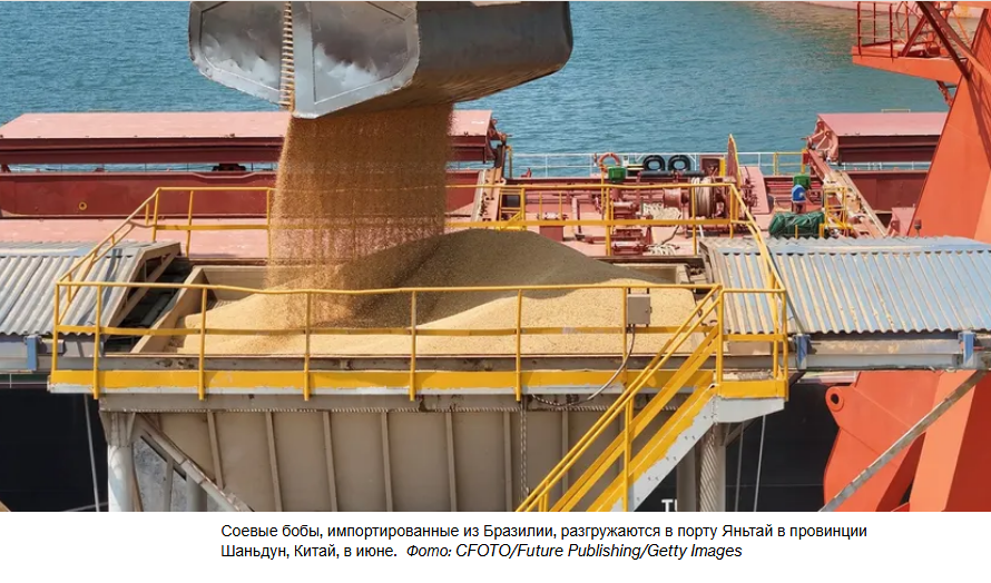 Ссора Китая с Трампом из-за сои оставила американских фермеров с огромным урожаем и малым количеством покупателей