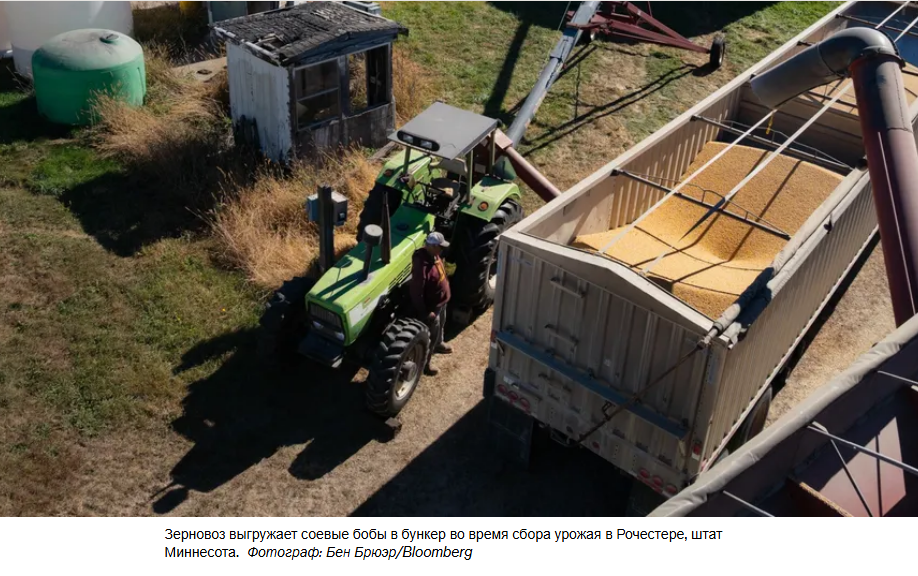 Ссора Китая с Трампом из-за сои оставила американских фермеров с огромным урожаем и малым количеством покупателей