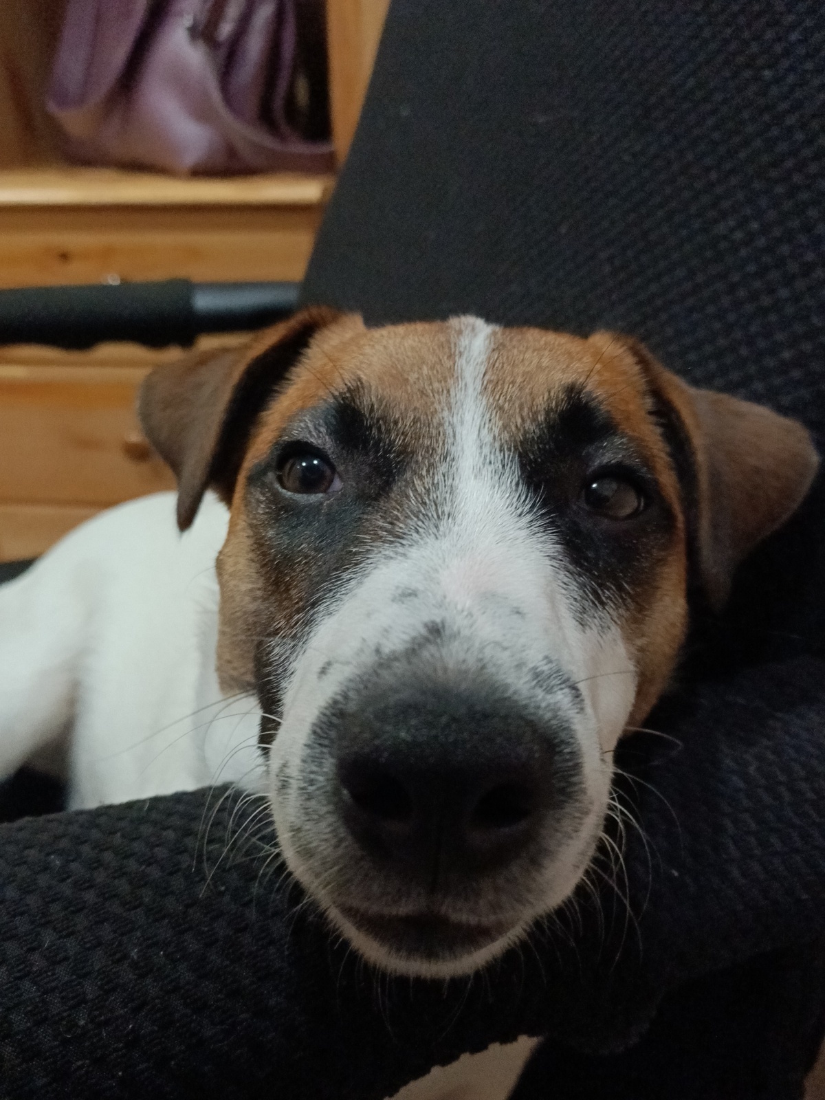 Самая длинная рабочая неделя в 2025 году стартует 27 октября