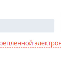 Безым22янный.png