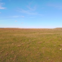 IMG_20251026_125753.jpg