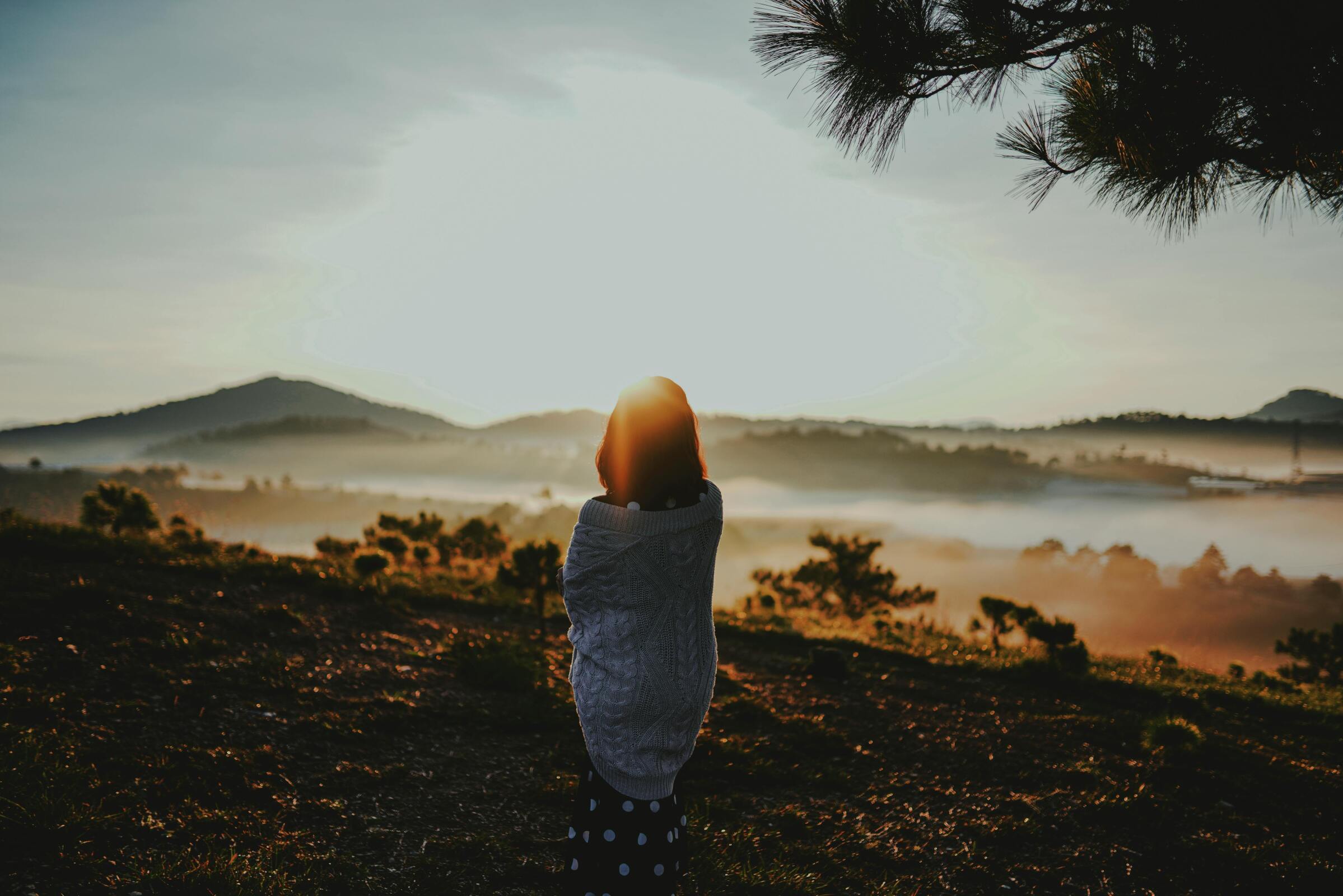 Почему наблюдение за природой улучшает отношения с людьми