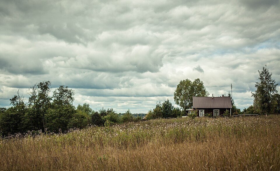 Город или деревня: где легче найти внутренний покой