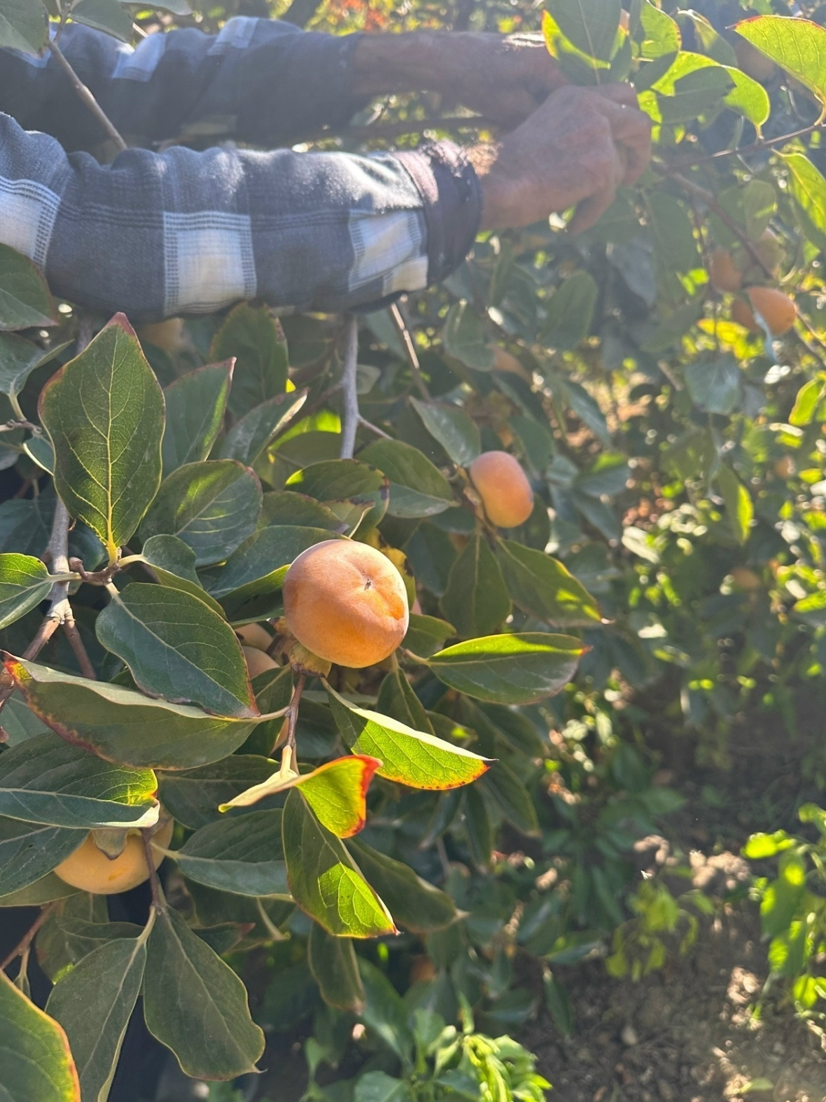Цены рулят, или поставьте сами запятую: путешествовать нельзя дома