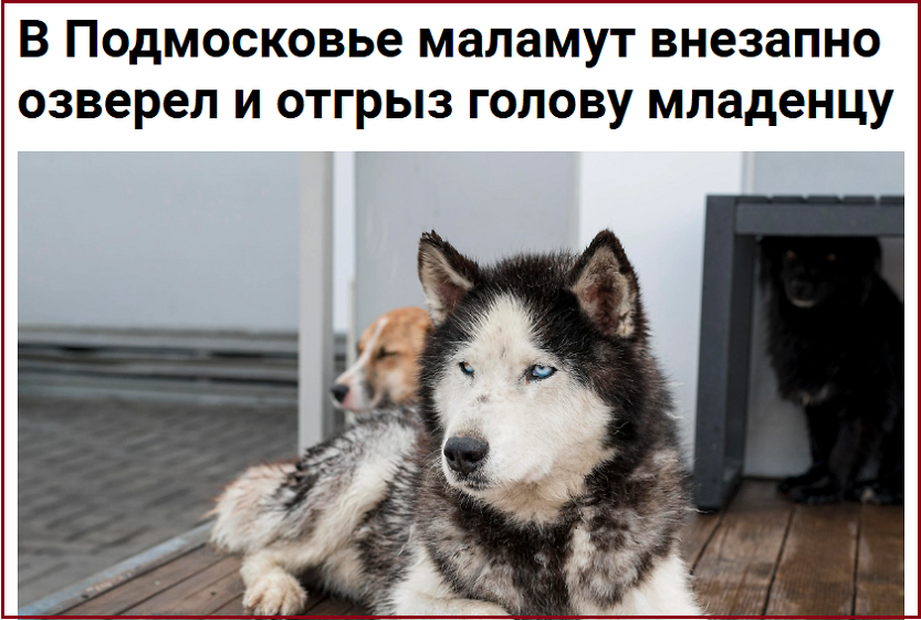 Две смертельные детские трагедии с озверевшими псами