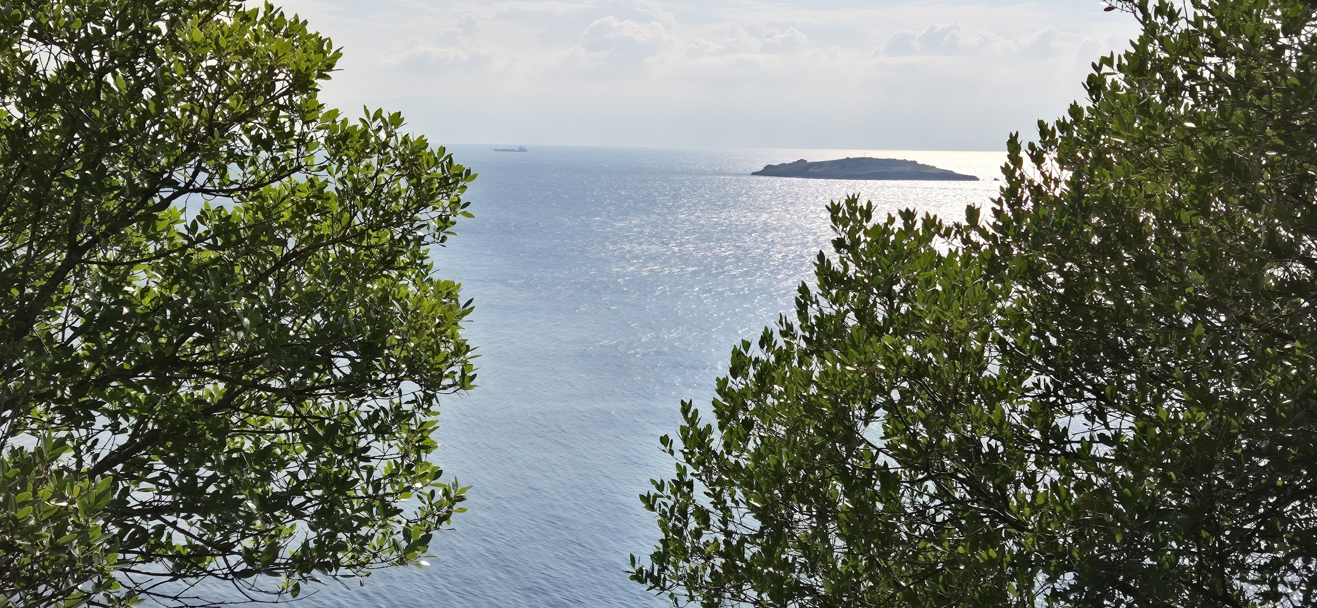 Бююкада или день приключений