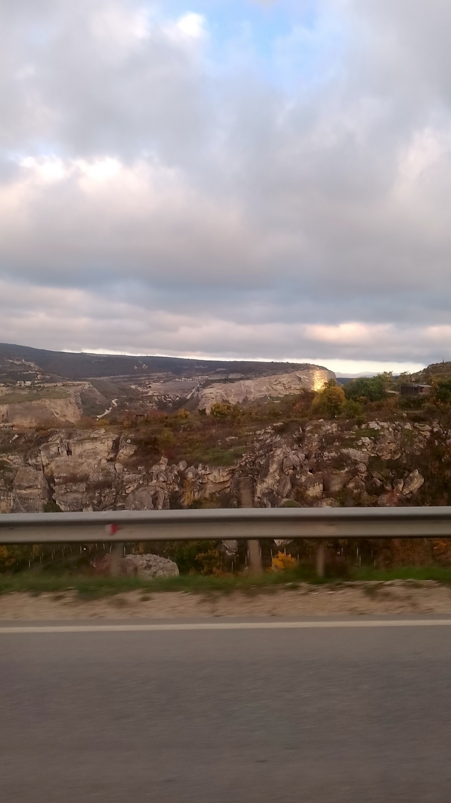 Лебедь в Инкермане