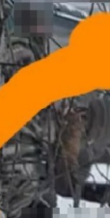 Экс- чиновник спас от браконьера!