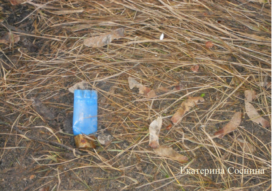 Экс- чиновник спас от браконьера!