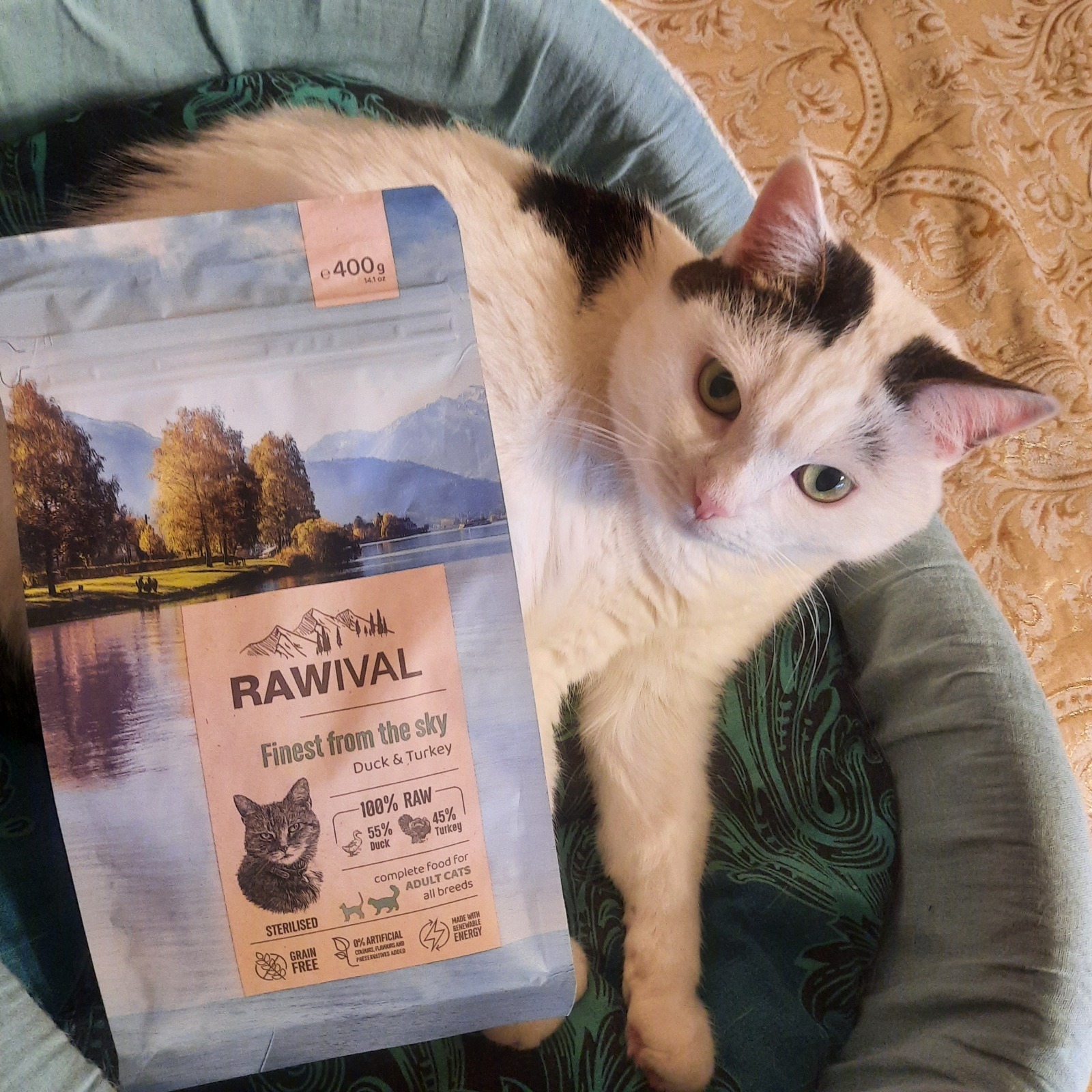 Невыгодный ноябрь. Или что предложил мне Сбербанк по категориям