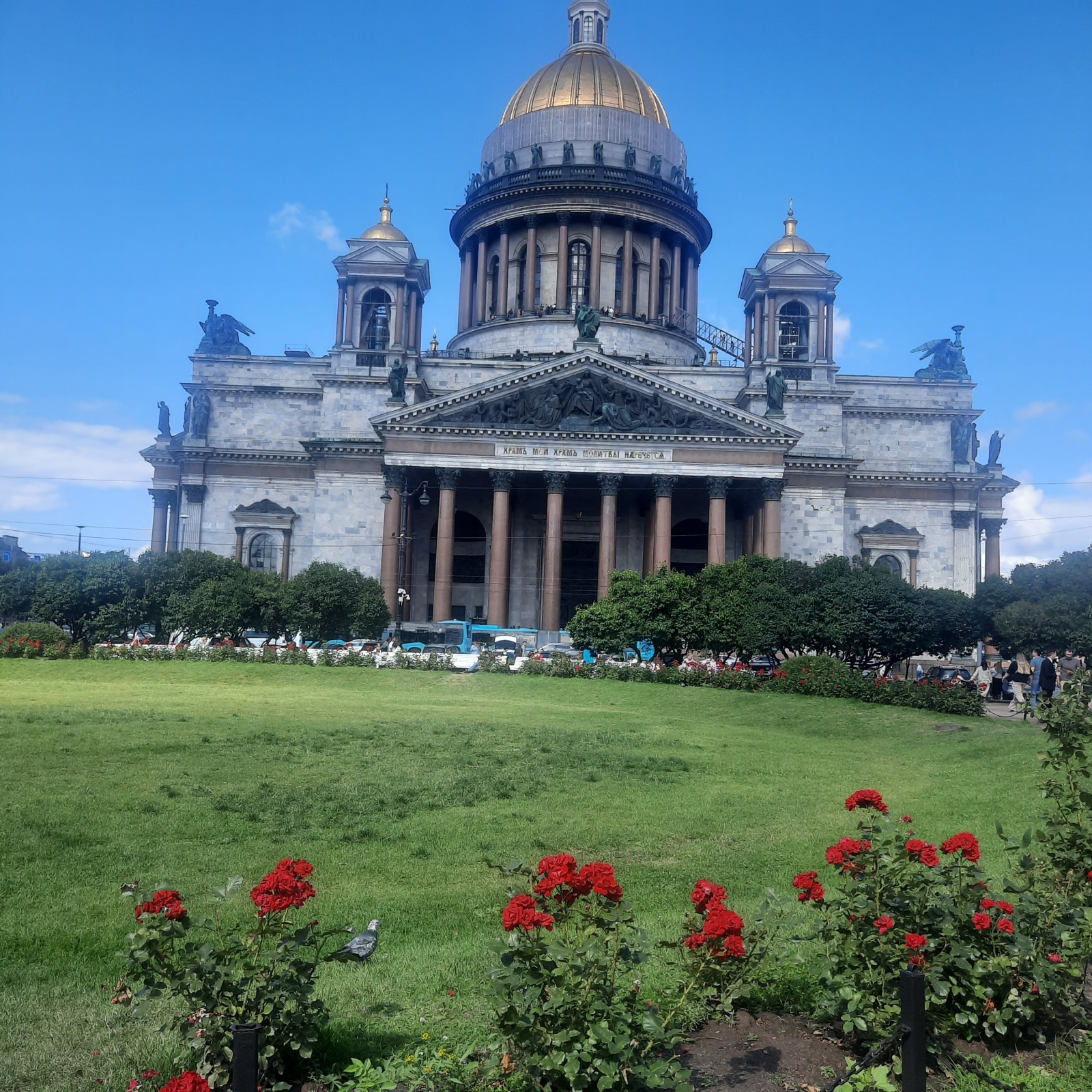 5 дней ноября и мой кешбек по Альфа карте.