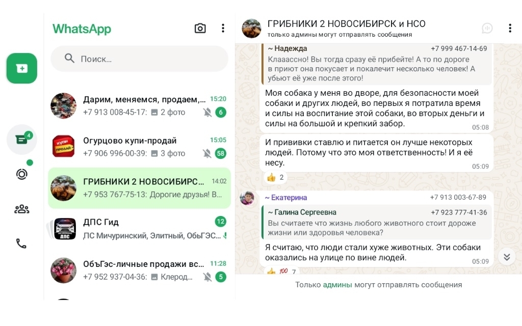 Бездомных котикам и собачкам теперь грозит эвтаназия, или «электорат» скажет свое слово?