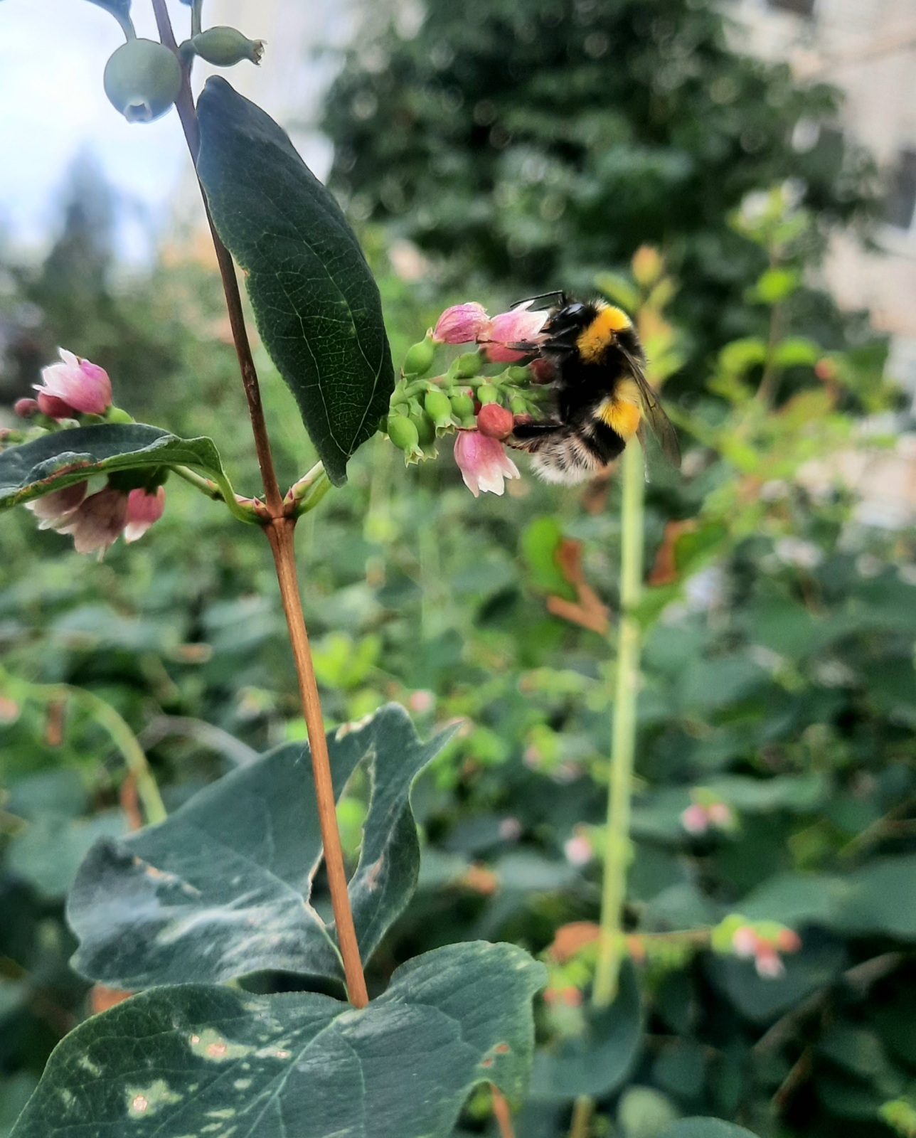 100 рублей за 4 месяца. Или мой доход с сайта Отзовик