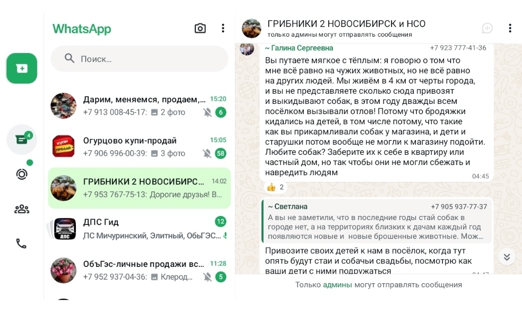 Бездомных котикам и собачкам теперь грозит эвтаназия, или «электорат» скажет свое слово?