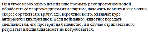 Что делать при встрече с летучей мышью: какие советы дали эксперты