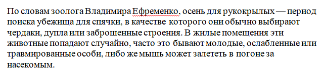 Что делать при встрече с летучей мышью: какие советы дали эксперты