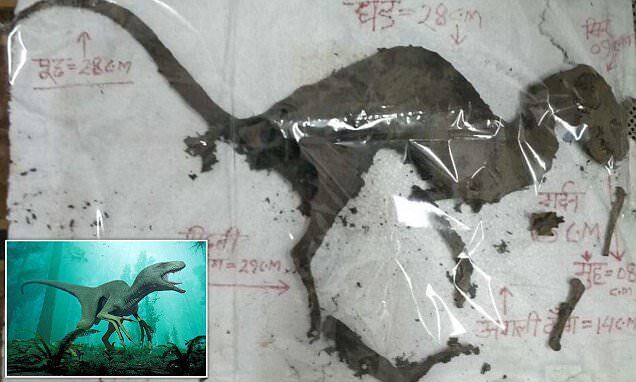 В Индии нашли загадочные останки: что это может быть?