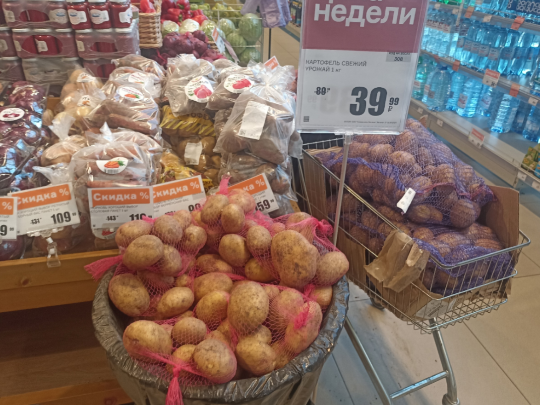 Выживалити с ипотекой (часть 1)