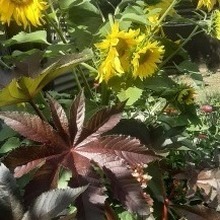 Татьяна, г. Челябинск