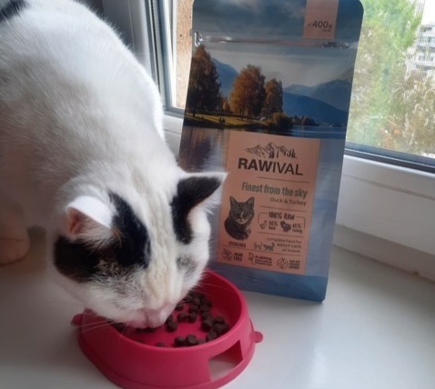 Как получить бесплатно товары за отзыв. Мой опыт. Часть1