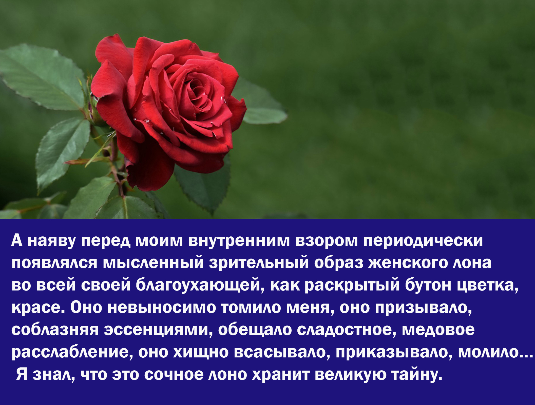 Сокровенные тайны популярной индийской йоги в России - осторожно! О т.н. "Кундалини"...