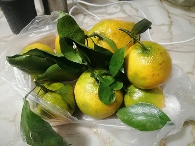 🍊🍊🍊Мандарины – символ Нового года? И чего полезного в этом новогоднем фрукте? Ожидание праздника