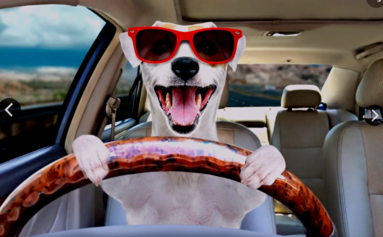 Обман не пройдет: робот вместо человека