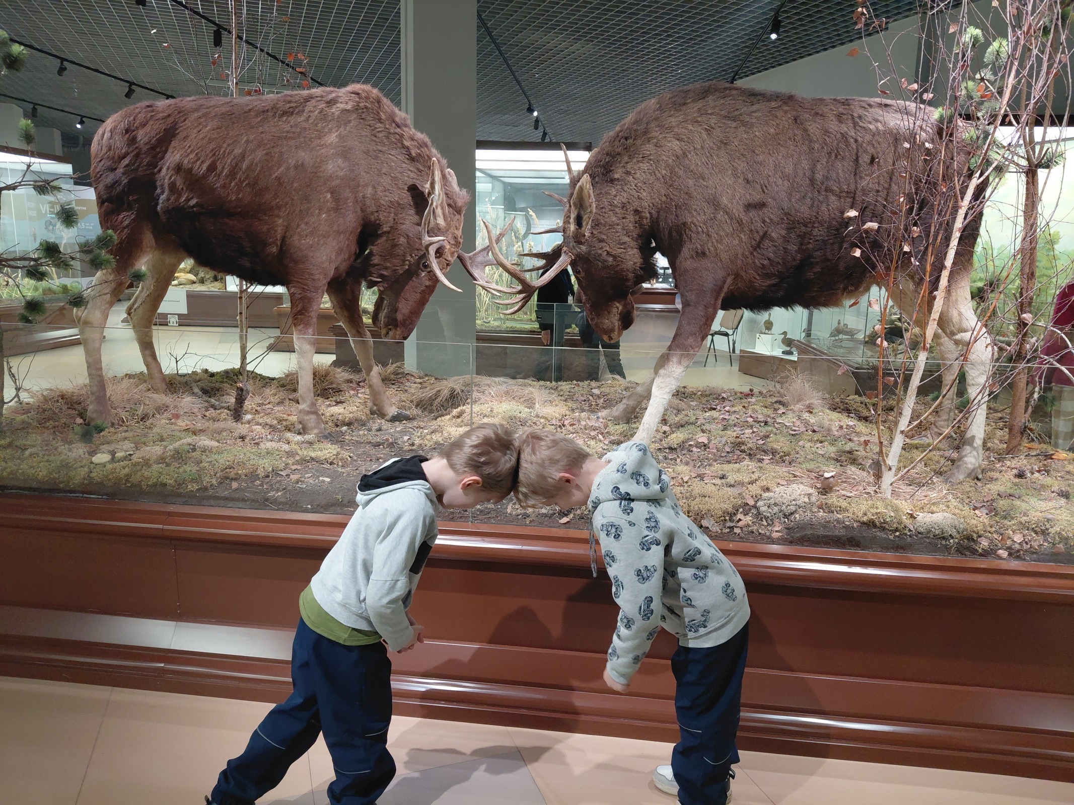 Куда пойти в Рязани