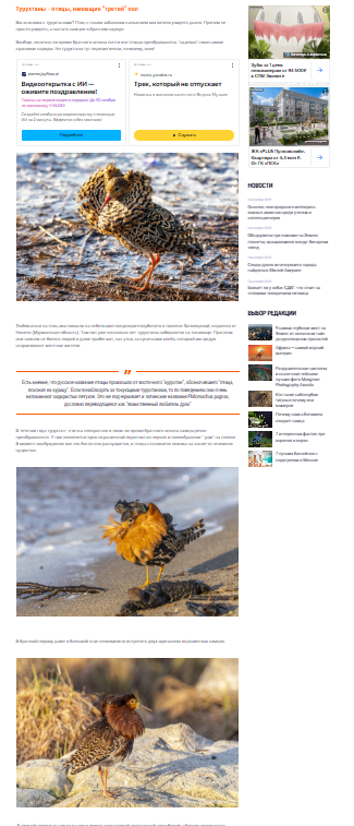 Звёздное сияние Ижоры в Межстоличьи /Статья третья незапланированная /Интермедия.