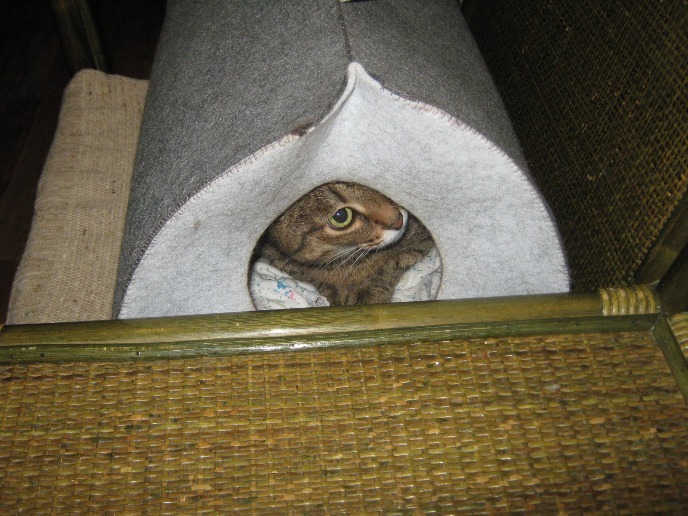 Лукерья, где ты будешь спать послезавтра?