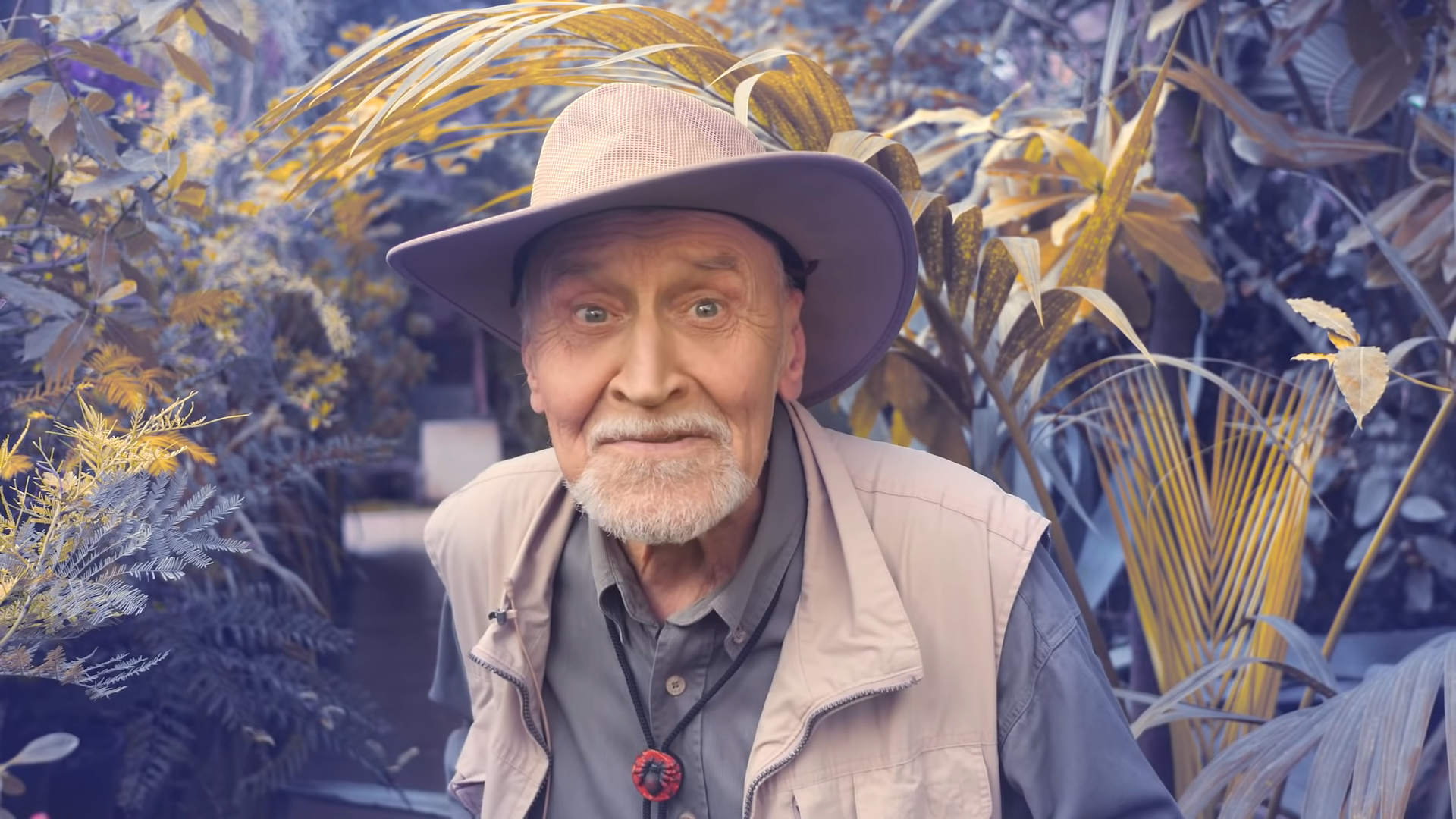 Рак у ведущего Николая Дроздова вышел в ремиссию — что известно