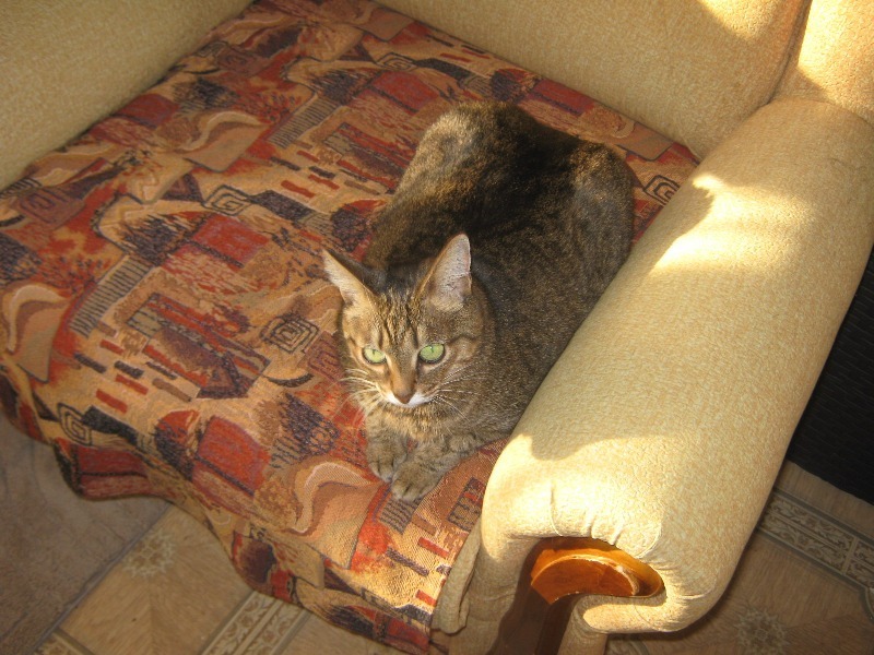 Лукерья, где ты будешь спать послезавтра?